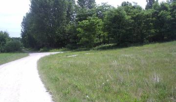 Działka rolna Konin Gosławice, ul. Gosławicka