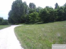 Działka rolna Konin Gosławice, ul. Gosławicka. Zdjęcie 1