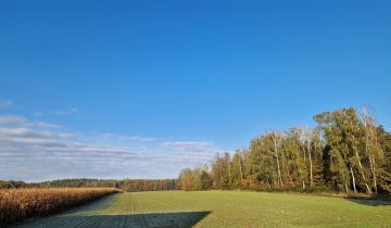 gospodarstwo Strzelna