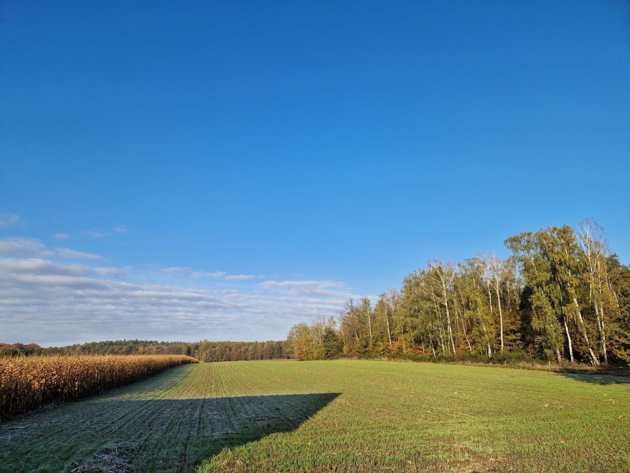 gospodarstwo Strzelna. Zdjęcie 2