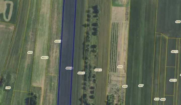 Działka rolno-budowlana Borowina Sitaniecka