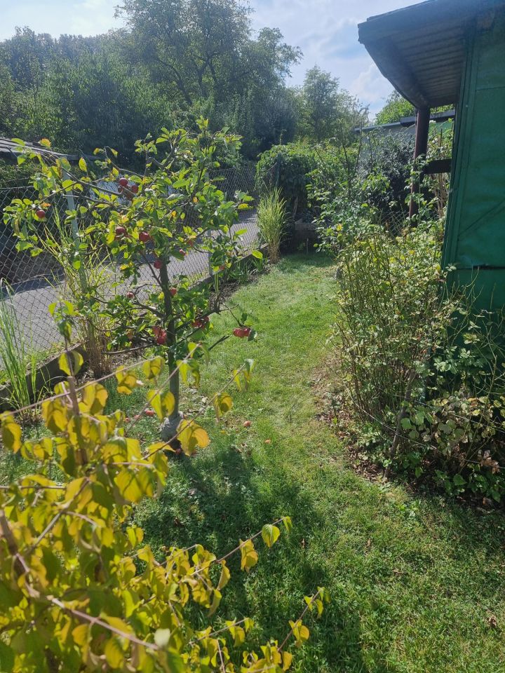 Działka rod Świdnica, ul. Tenisowa. Zdjęcie 4