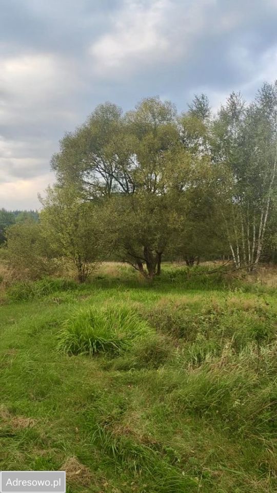 Działka budowlana Wysowa-Zdrój. Zdjęcie 2