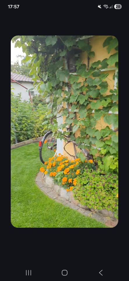 Działka rod Złotów, ul. Jastrowska. Zdjęcie 7