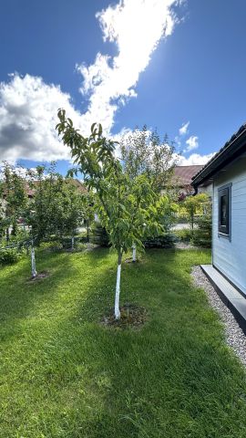 bliźniak, 3 pokoje Przyjaźń, ul. Przytulna. Zdjęcie 14