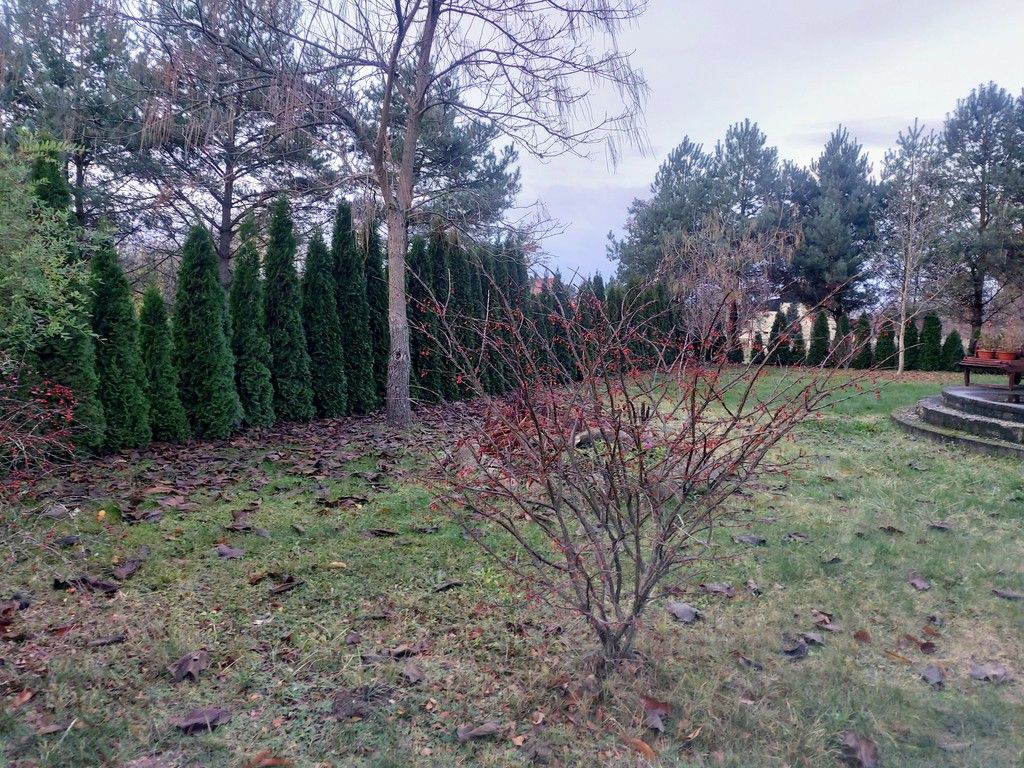dom wolnostojący, 5 pokoi Miłocice, ul. Szkolna. Zdjęcie 19