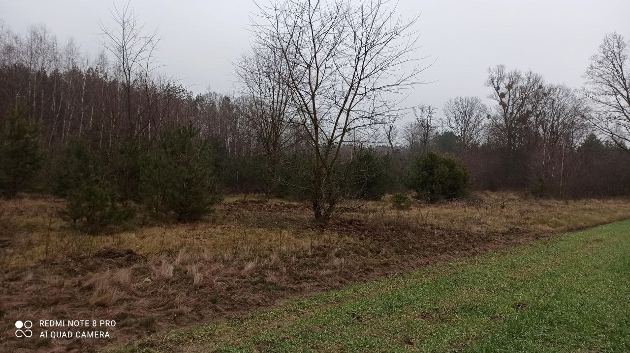 Działka inna Popielżyn Dolny. Zdjęcie 6