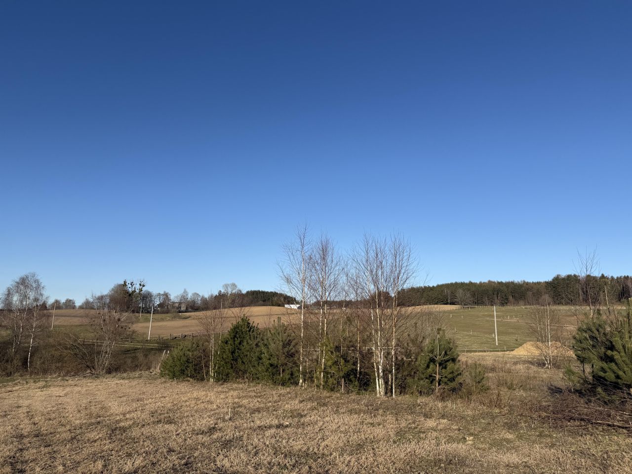 Działka budowlana Kamień, ul. Psale. Zdjęcie 3