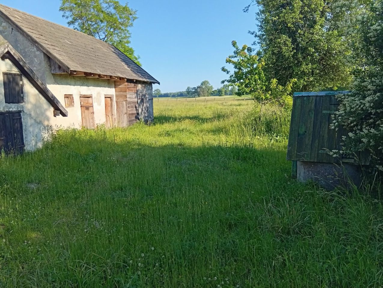 Działka siedliskowa Strzelce. Zdjęcie 6
