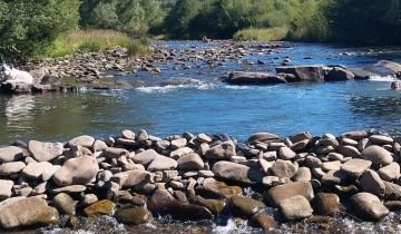 Działka rekreacyjna Jeleśnia Pyrgiesi, ul. Pyrgiesów