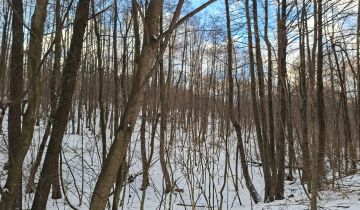 Działka leśna Jaszczurowa Ponikwa