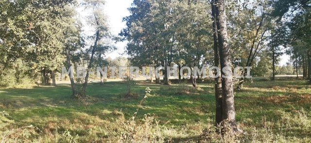 Działka rolna Nowosiedliny. Zdjęcie 3