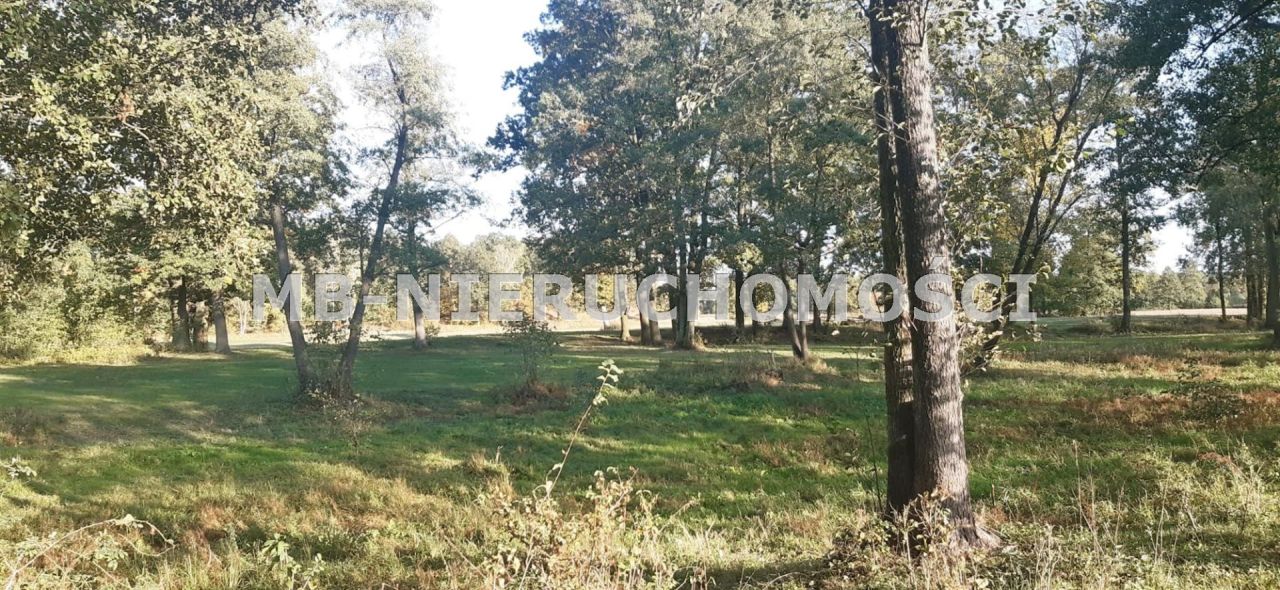 Działka rolna Nowosiedliny. Zdjęcie 3