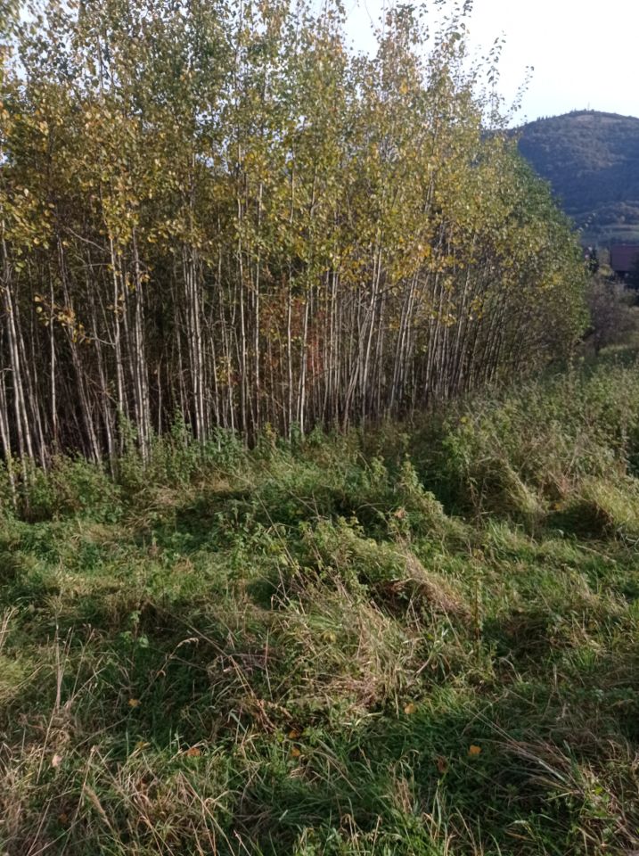 Działka rolna Szczawnica, ul. Sopotnicka. Zdjęcie 3