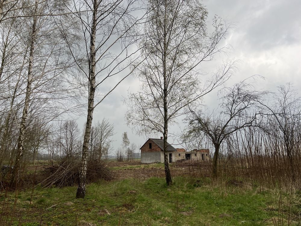 Działka budowlana Piegłowo-Wieś. Zdjęcie 4