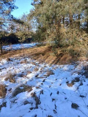 Działka rekreacyjna Borzątew. Zdjęcie 1