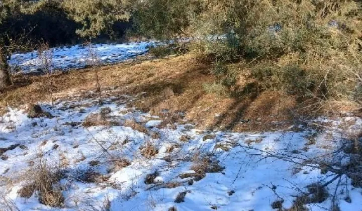 Działka rekreacyjna Borzątew