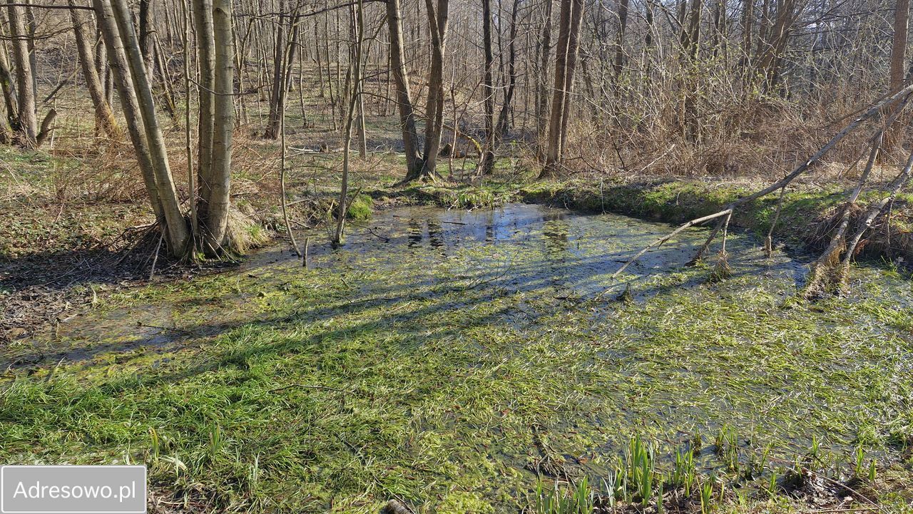 dom wolnostojący, 2 pokoje Lutcza. Zdjęcie 6