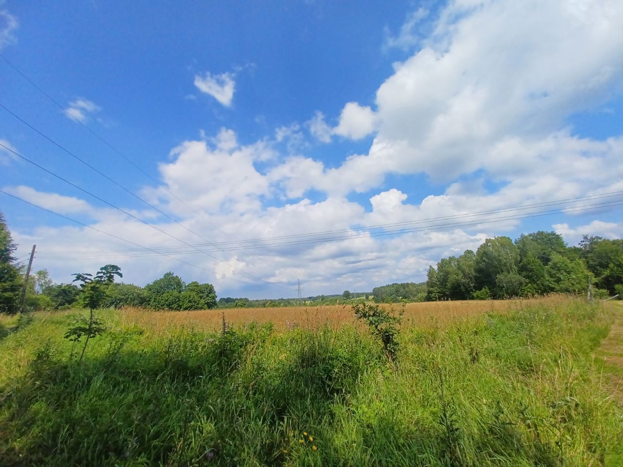 Działka budowlana Kołtki. Zdjęcie 3