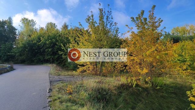 Działka inwestycyjna Wierzbica. Zdjęcie 15