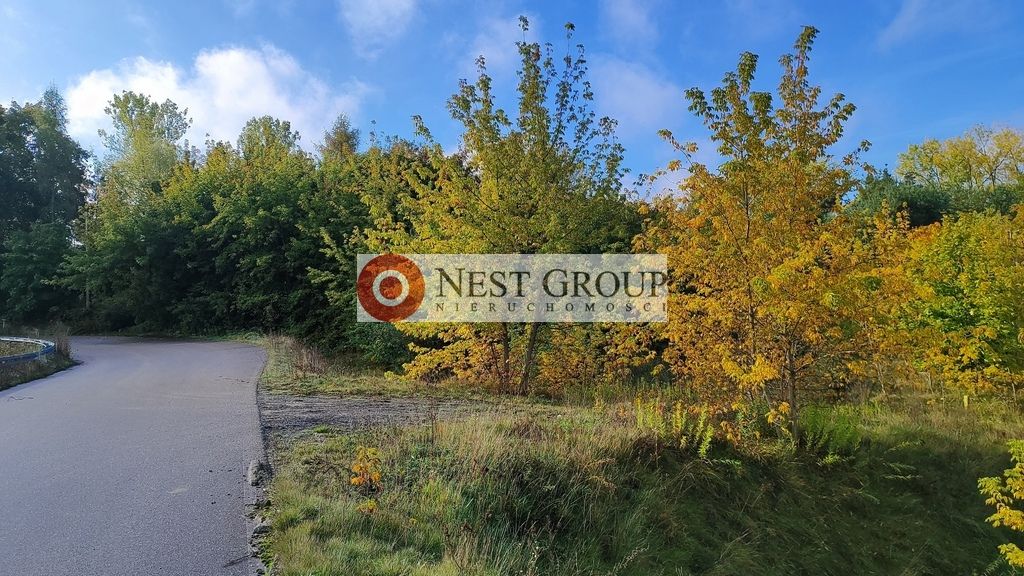 Działka inwestycyjna Wierzbica. Zdjęcie 15