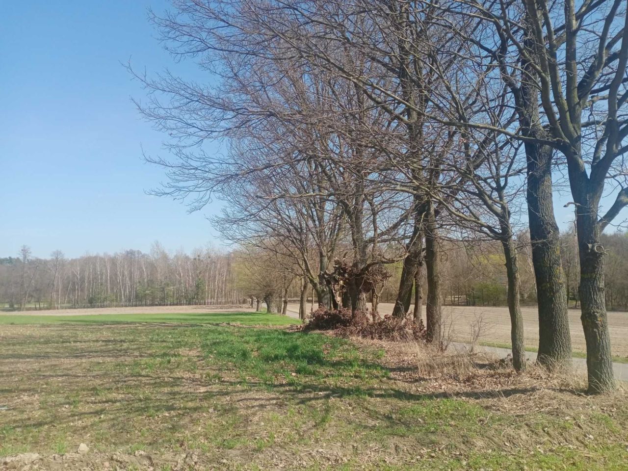 Działka budowlana Markowola-Kolonia. Zdjęcie 7