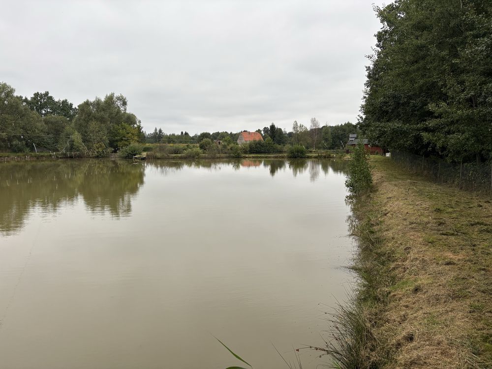 Działka Wojciechów. Zdjęcie 7