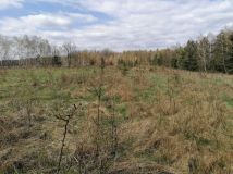 Działka rolna Karnkowo. Zdjęcie 4