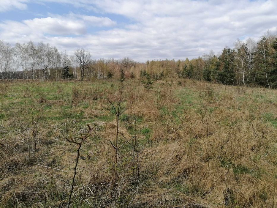 Działka rolna Karnkowo. Zdjęcie 5