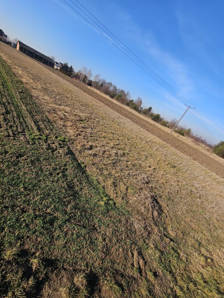 Działka budowlana Lisów. Zdjęcie 4