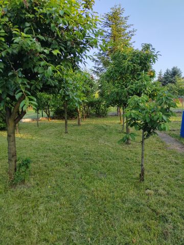 Działka rod Radom Kaptur, ul. Rybna. Zdjęcie 1