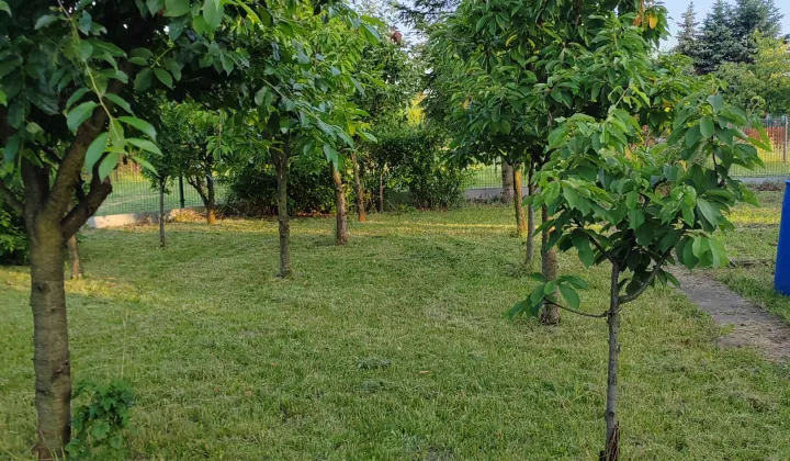 Działka rod Radom Kaptur, ul. Rybna