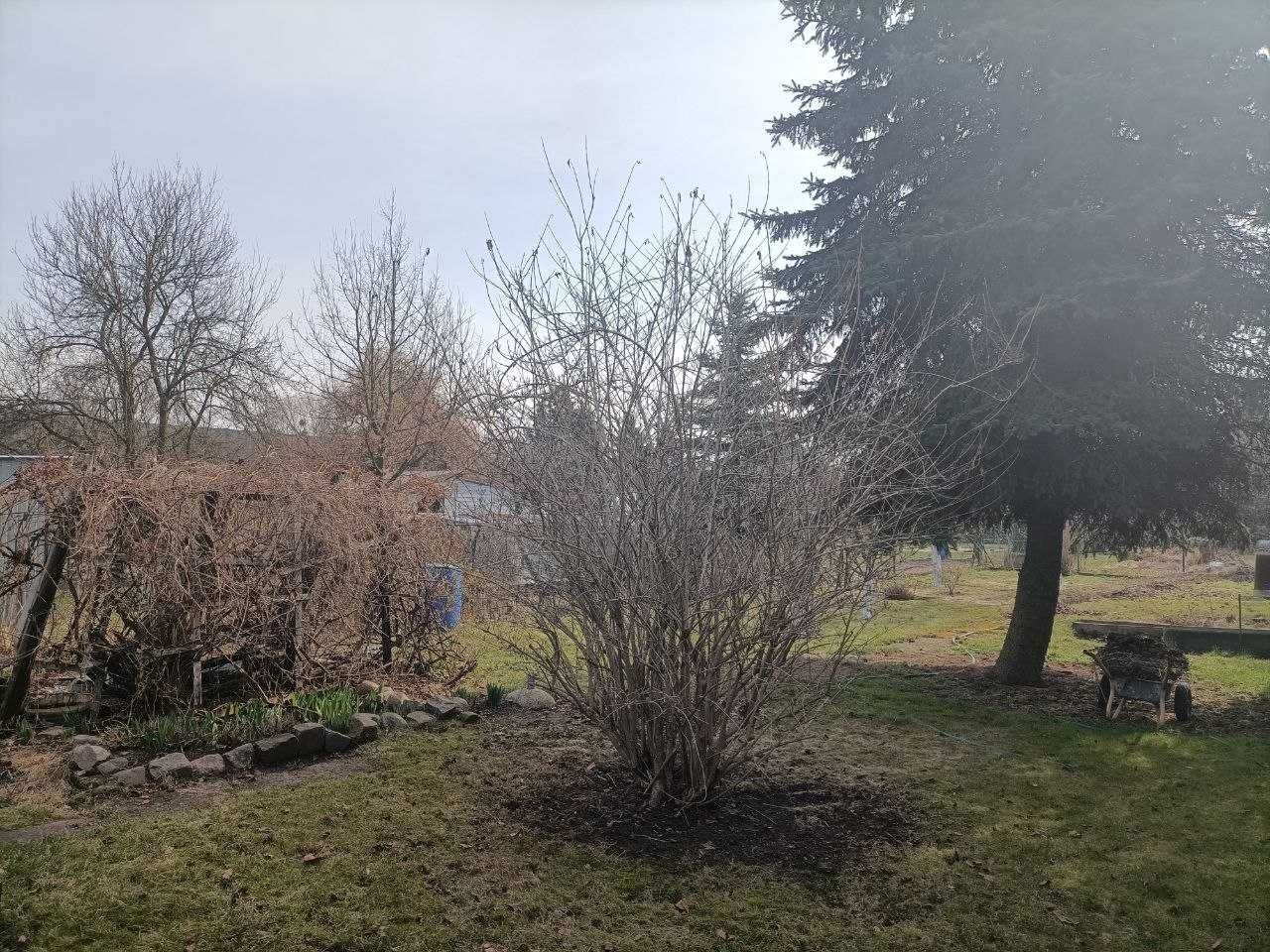 Działka rod Grudziądz, droga Kurpiowska. Zdjęcie 4