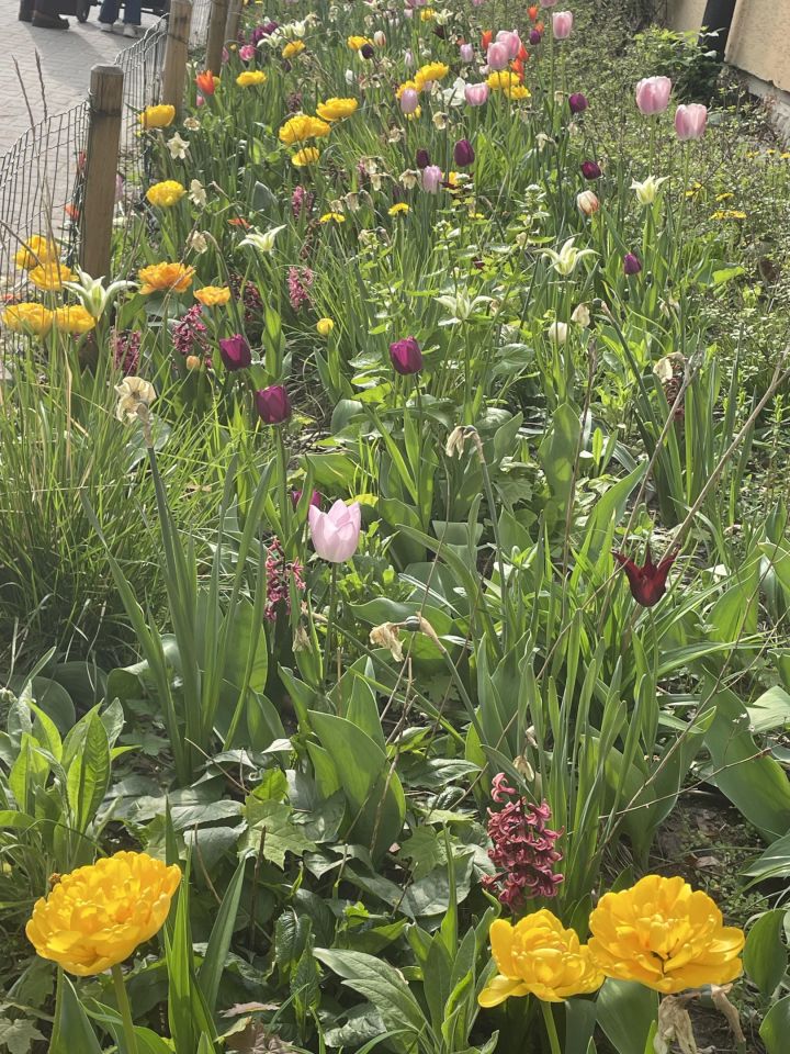 Mieszkanie 2-pokojowe Warszawa Mokotów, ul. Wołoska. Zdjęcie 9