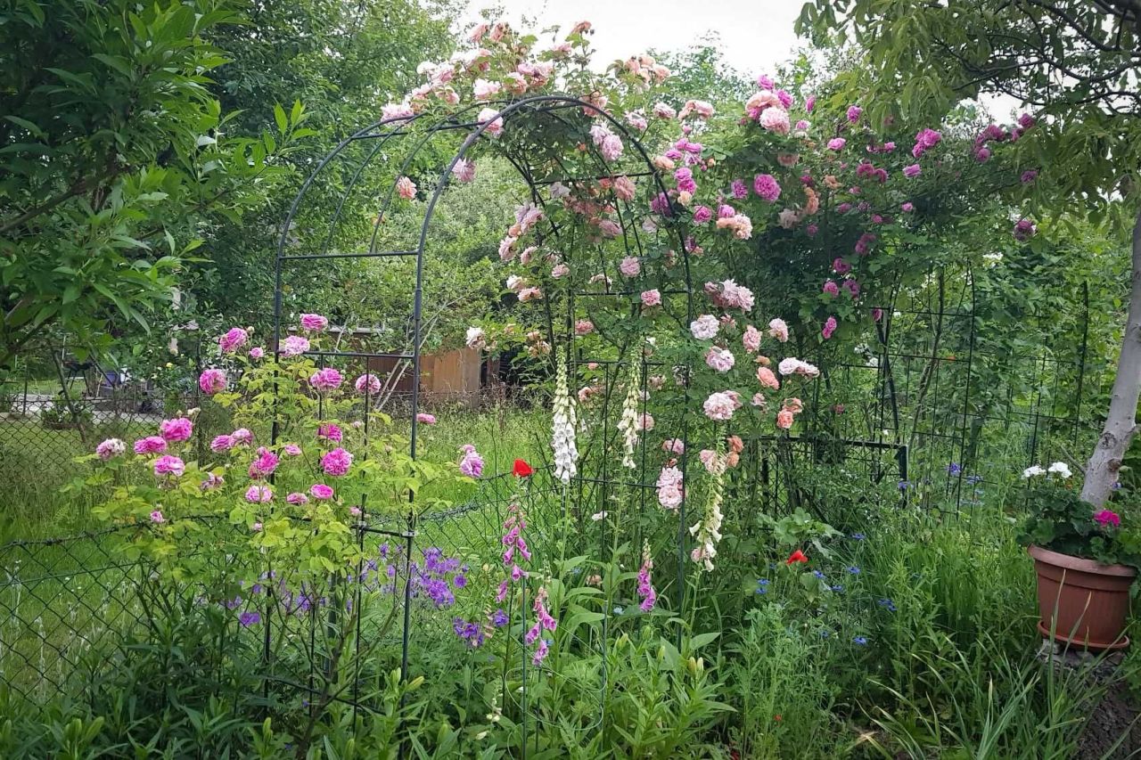 Działka rod Warszawa Ochota, ul. Racławicka. Zdjęcie 6