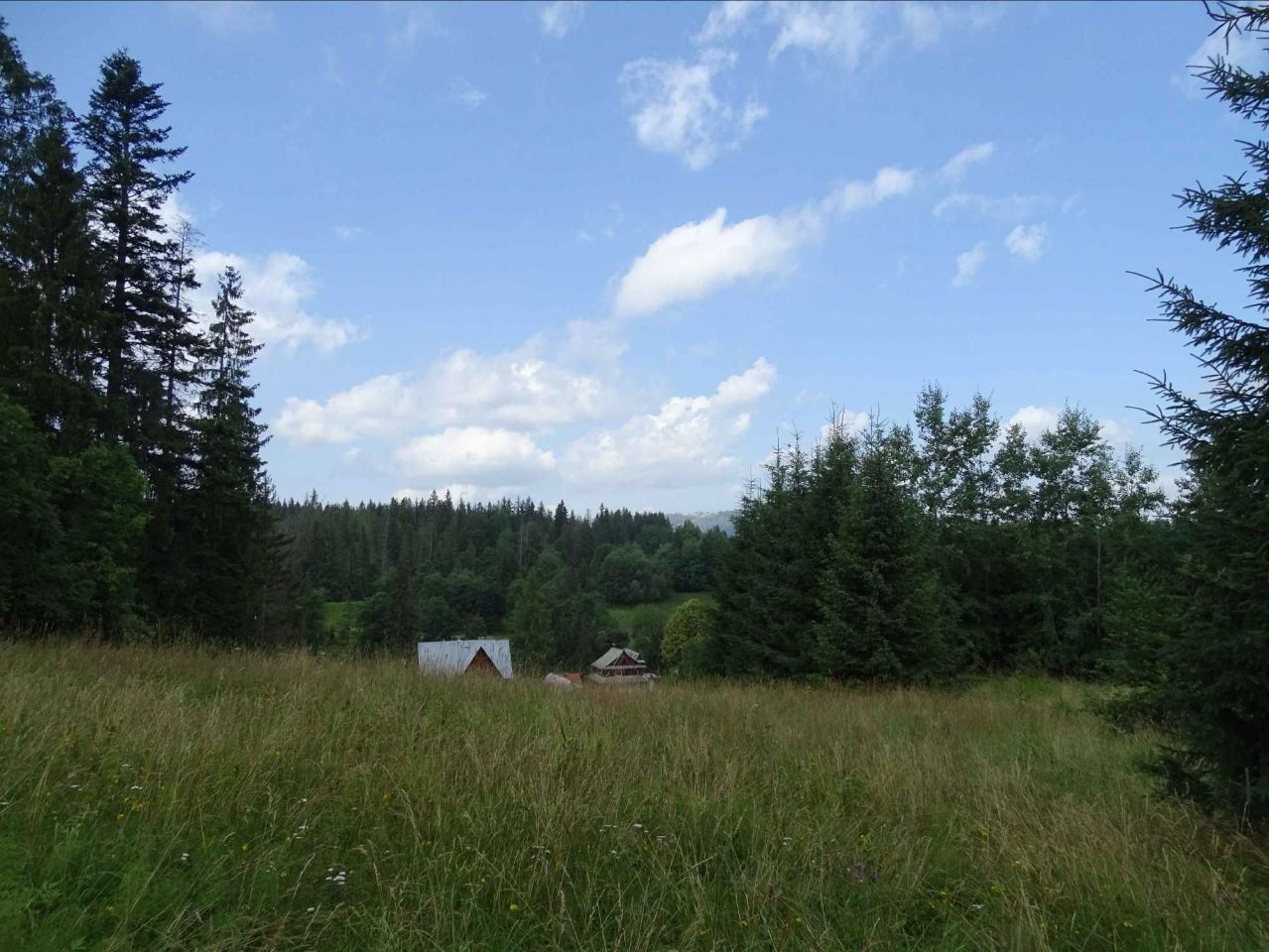 Działka budowlana Zakopane Chłabówka. Zdjęcie 1