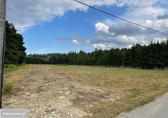Działka budowlana Bydlin, ul. Sosnowa. Zdjęcie 1