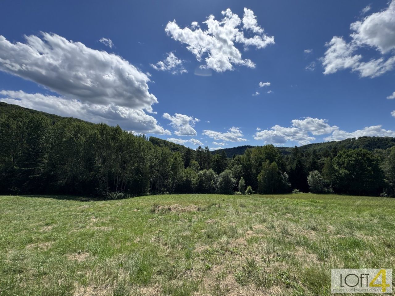 Działka budowlana Paleśnica. Zdjęcie 12