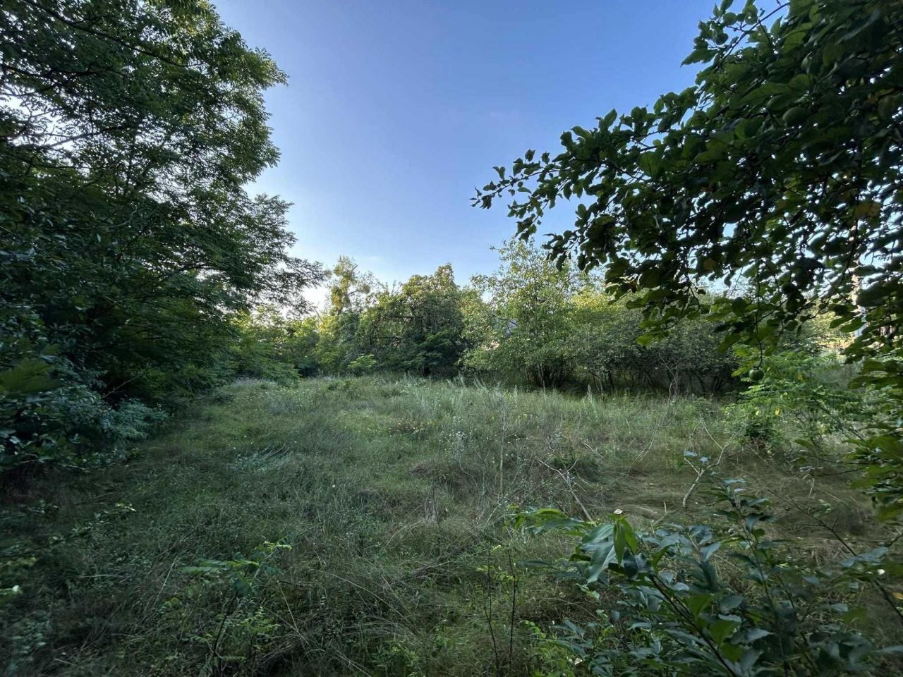 Działka rekreacyjna Żółwiniec