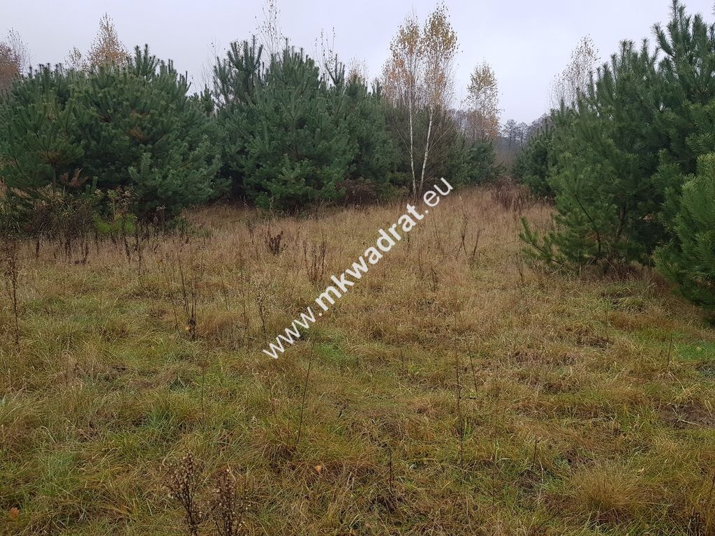 Działka budowlana Ojrzanów. Zdjęcie 9