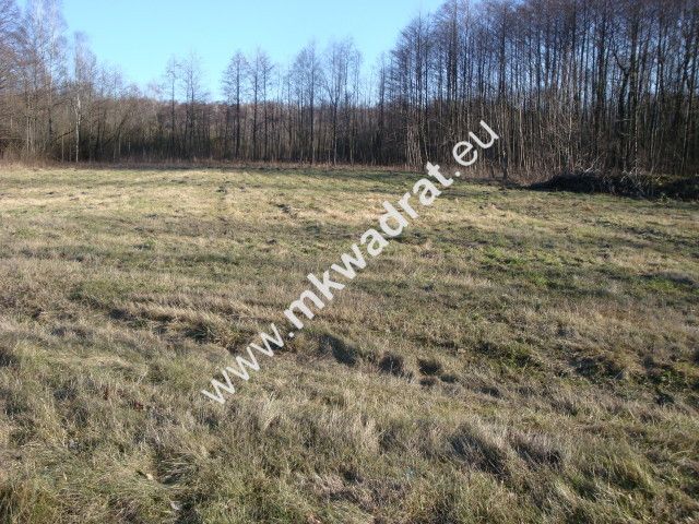 Działka budowlana Słubica B. Zdjęcie 8