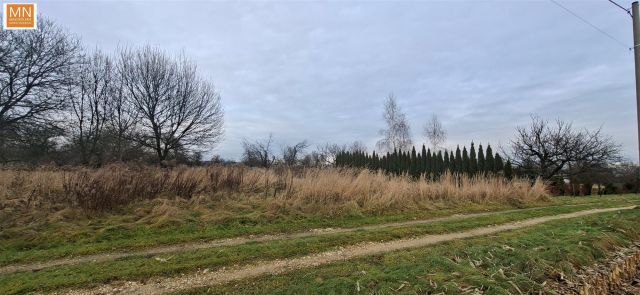 Działka inwestycyjna Morawica. Zdjęcie 6