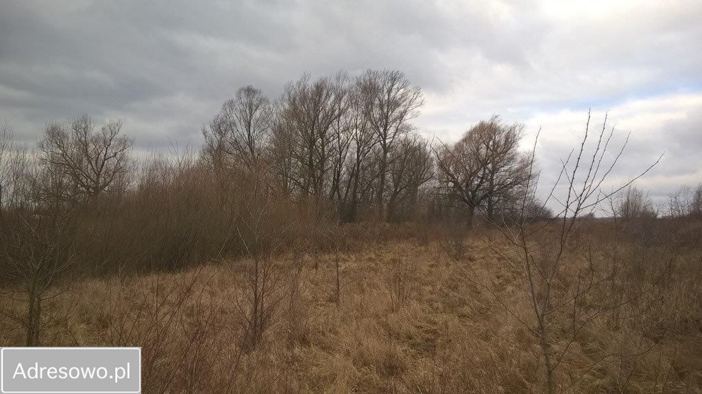 Działka budowlana Kłudno Nowe. Zdjęcie 7