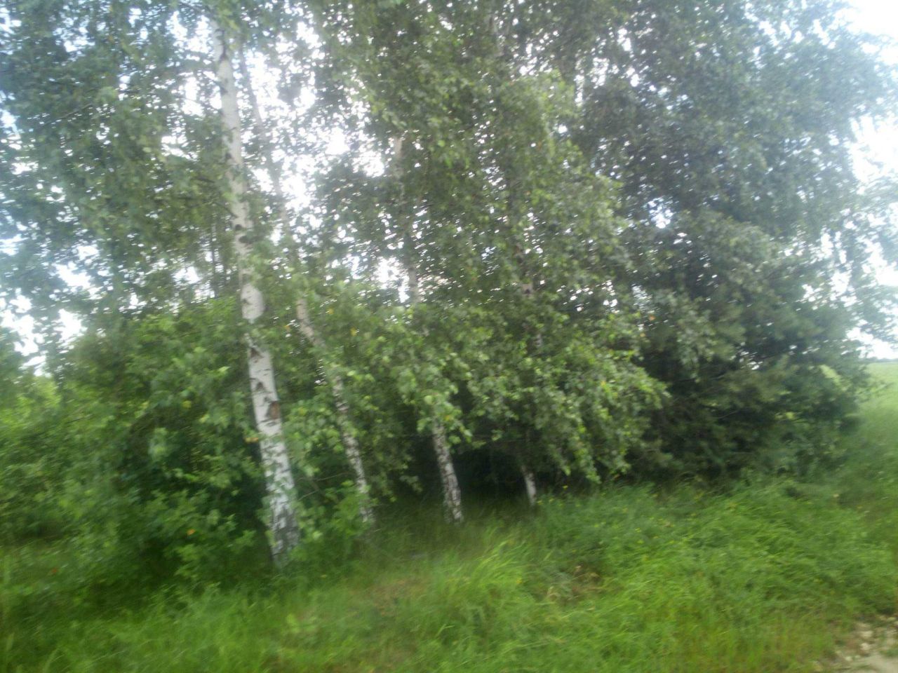 dom wolnostojący Ćmielów. Zdjęcie 6