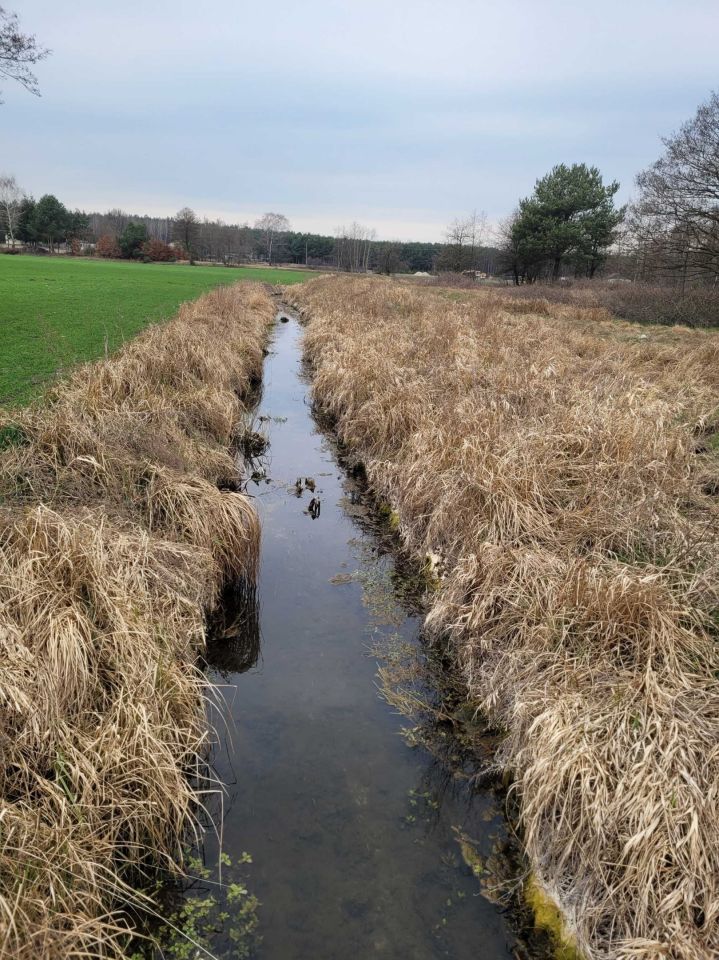 Działka rolno-budowlana Jesionka. Zdjęcie 4