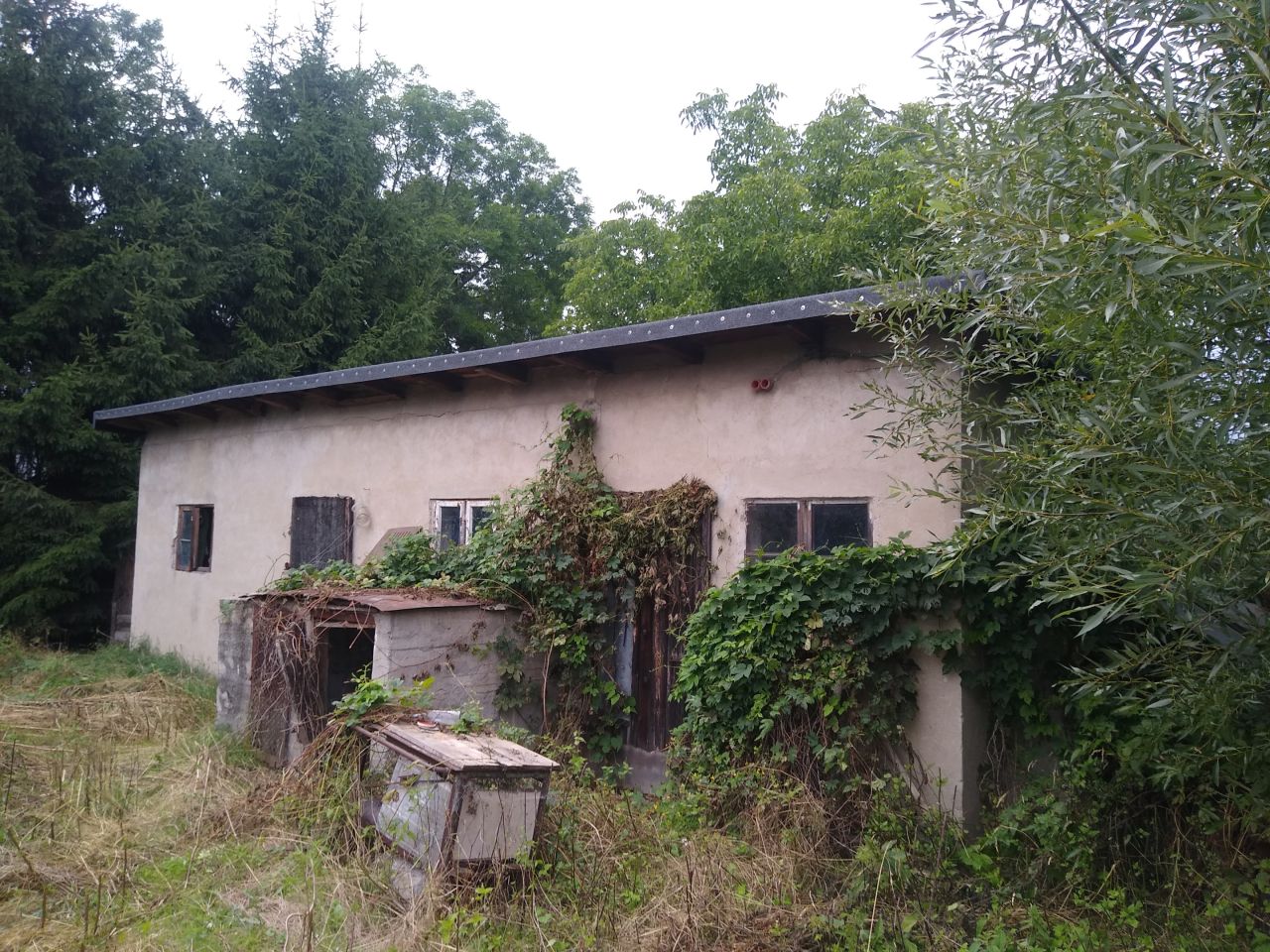 Działka siedliskowa Karczyce. Zdjęcie 5