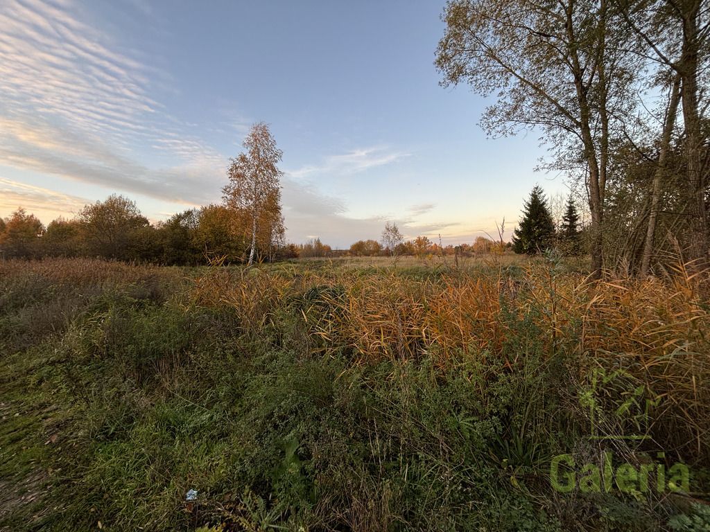 Działka budowlana Kościno. Zdjęcie 3