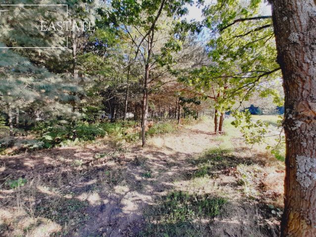 Działka inwestycyjna Sulejówek, ul. Świętojańska. Zdjęcie 7