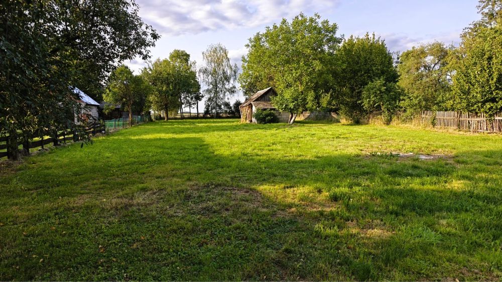 siedlisko Krzywa. Zdjęcie 8