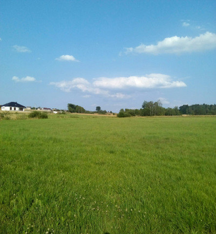 Działka rolno-budowlana Skoki Poręba. Zdjęcie 1